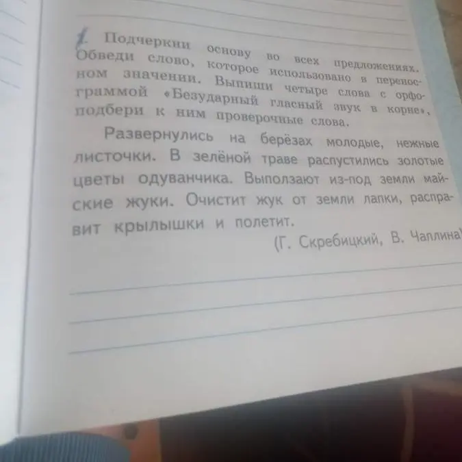 Подчеркни основу во всех предложениях.