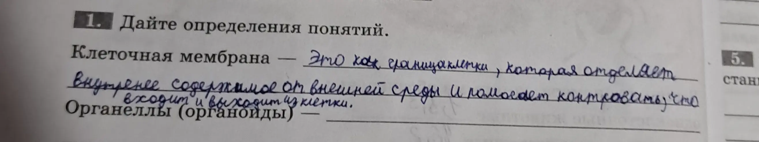 Дай определение понятию органеллы (органоиды)