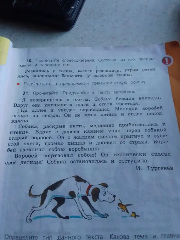 Составь предложения из словосочетаний 'Резвились у сосны, весело резвились, утром резвились, маленькие бельчата, у высокой сосны' и подчеркни грамматическую основу. Придумай к тексту заголовок.