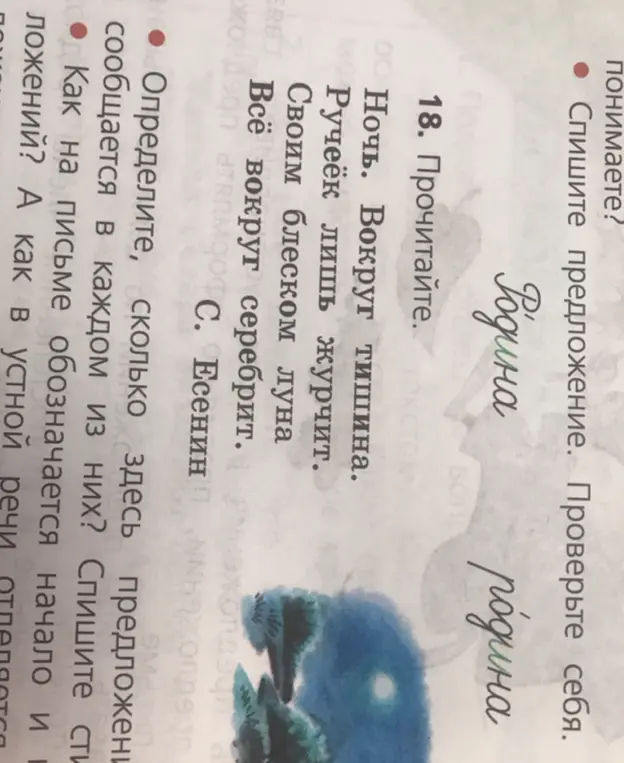 Определи, сколько здесь предложений сообщается в каждом из них?