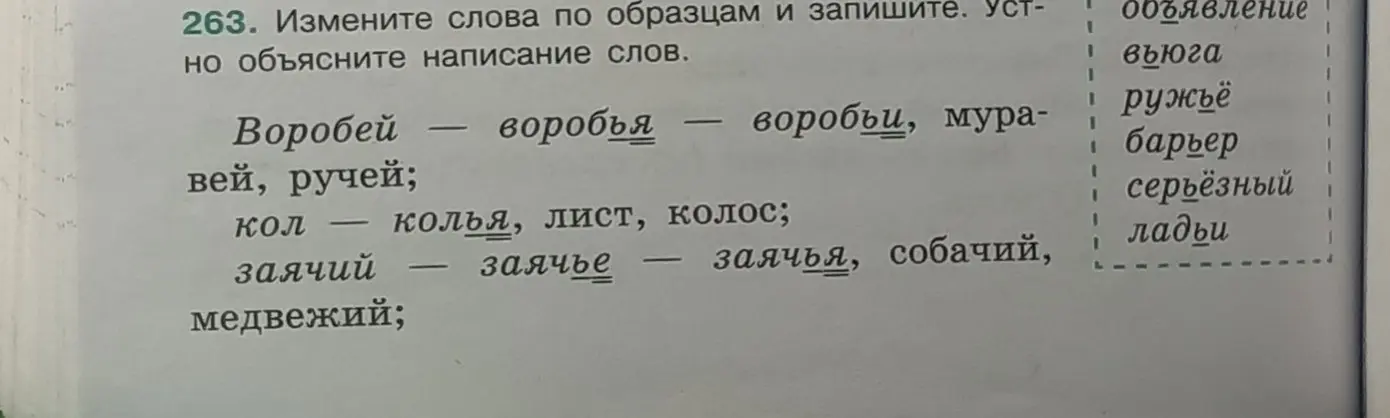 Измени слова по образцам и запиши: воробья, воробьи, муравей, ручей, кол, заячий, объявление, вьюга, ружьё, барьер, серьёзный, ладьи.