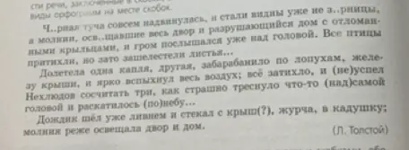 Какова главная мысль текста?