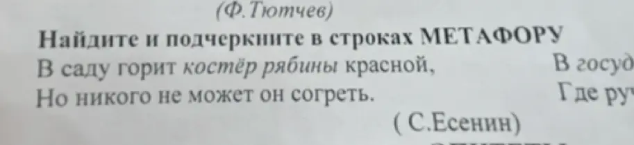 Найди и подчеркни метафору в строках: В саду горит костёр рябины красной, Но никого не может он согреть.