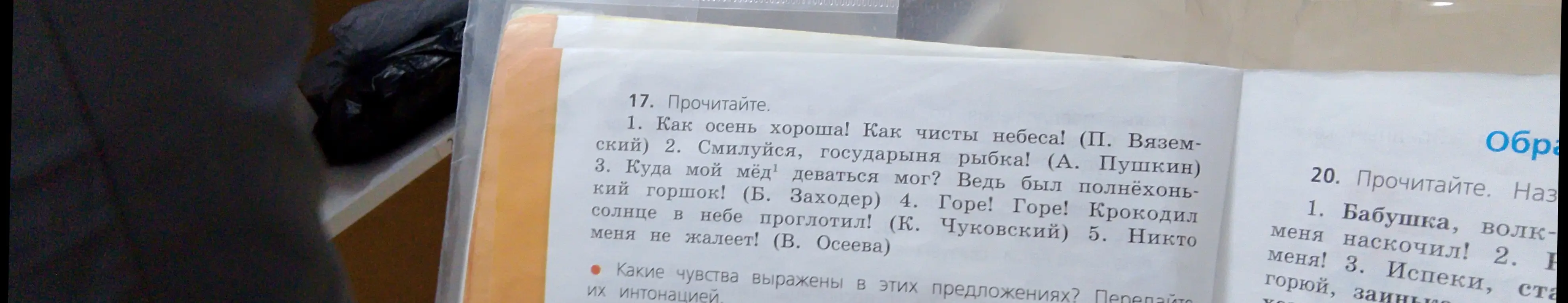 Определи чувства, выраженные в предложениях из упражнения 17
