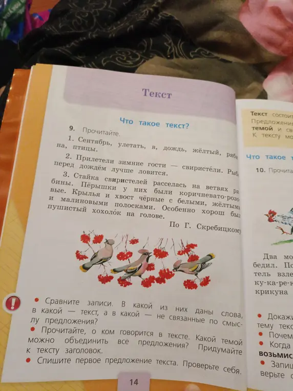 Сравни записи. В какой из них даны слова, в какой - текст, а в какой - не связанные по смыслу предложения?