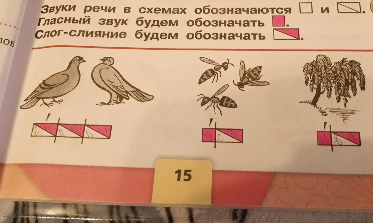 Ты просишь помочь определить количество слогов и раскрасить схемы для слов: голуби, осы и ива