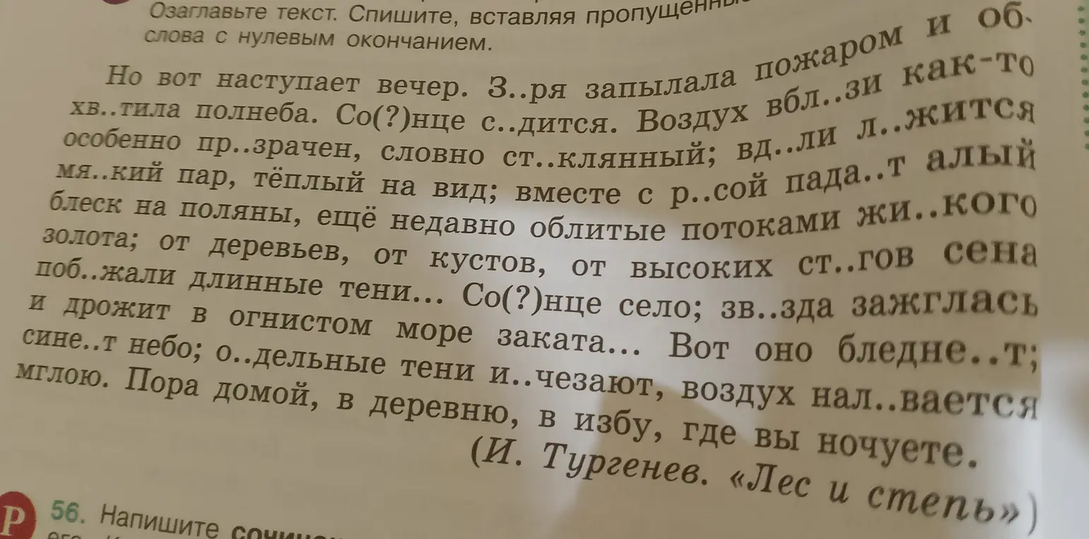 Выдели орфограммы и грамматические основы в тексте.