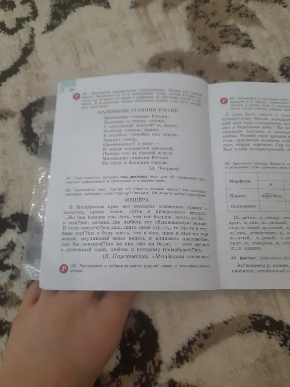 Как определить тему и главную мысль текста «Мещёра» и объяснить выбор орфограмм?