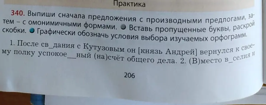 Объясни орфограммы в предложениях и определи, какие из них содержат производные предлоги, а какие - омонимичные формы