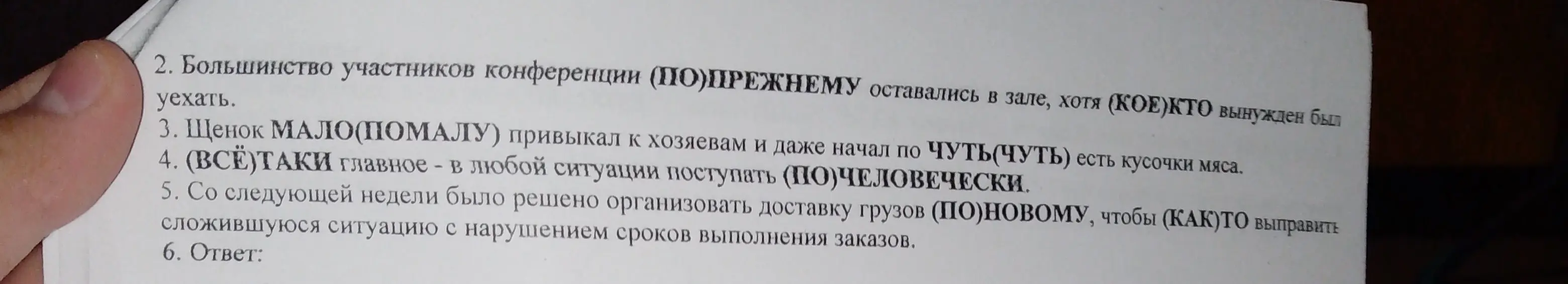 Укажи варианты ответов, в которых выделенные слова пишутся через дефис в задании 6.