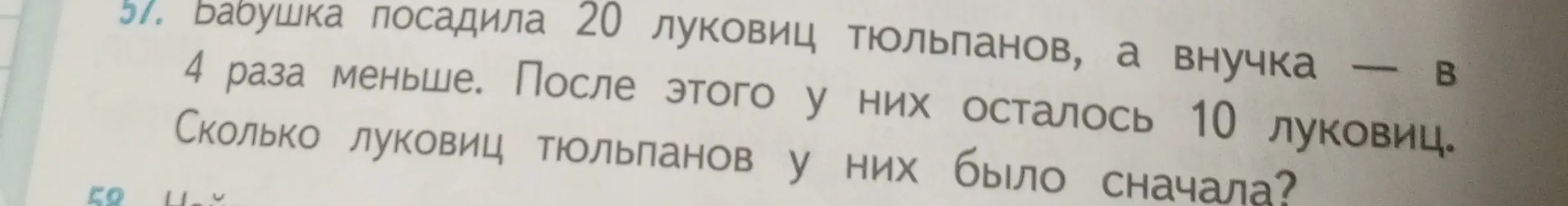 Помоги решить задачу: Бабушка посадила 20 луковиц тюльпанов, а внучка в 4 раза меньше. После этого у них осталось 10 луковиц. Сколько луковиц тюльпанов у них было сначала?