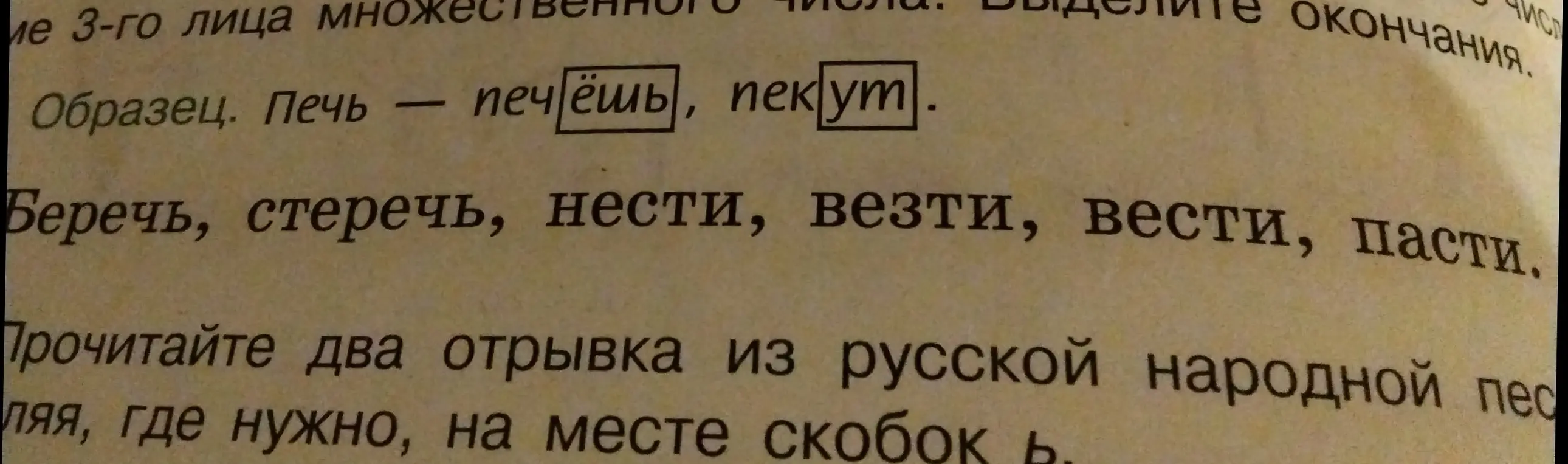Определи окончания глаголов: беречь, стеречь, нести, везти, вести, пасти.