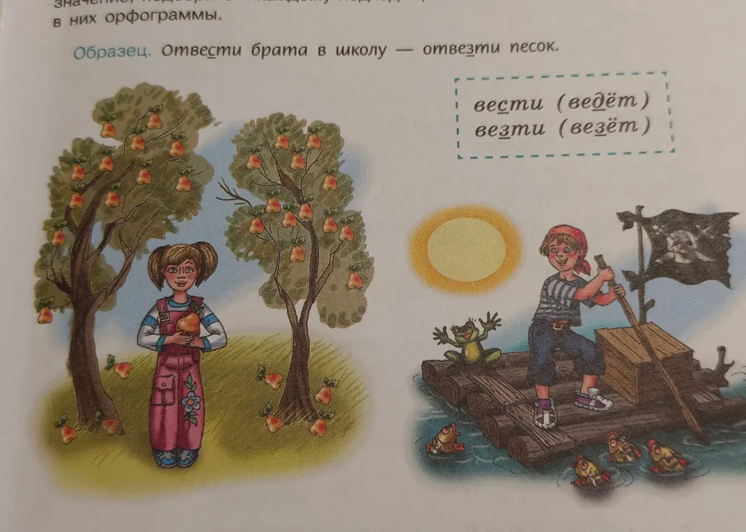 Объясни, как правильно писать слова 'вести' и 'везти'