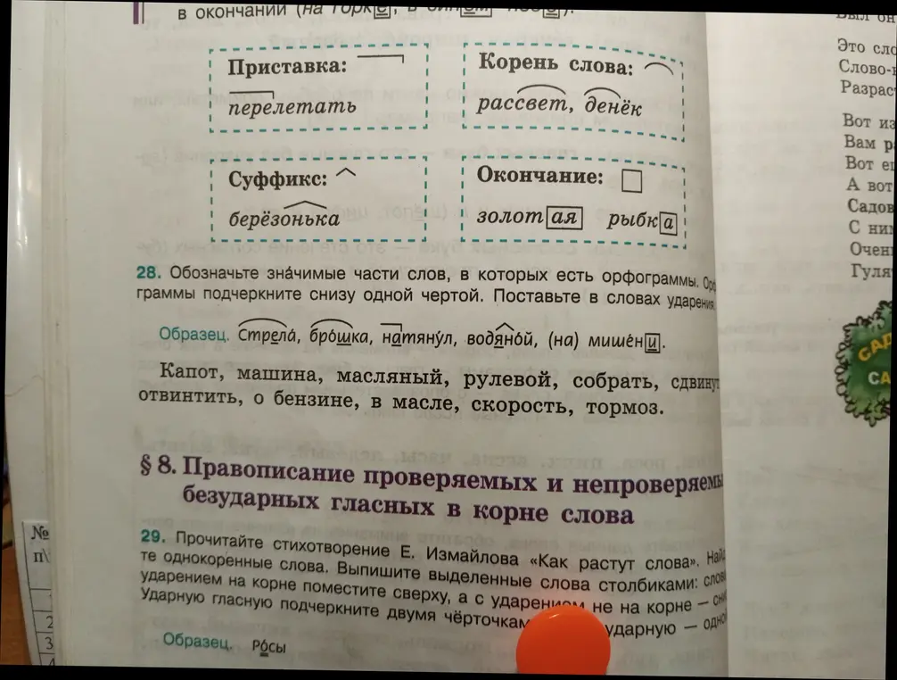 Обозначь значимые части слов, в которых есть орфограммы