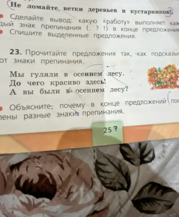 Объясни, почему в конце предложений поставлены разные знаки препинания