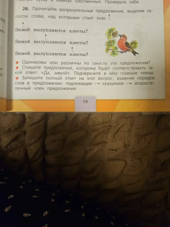 Спиши предложение, которому будет соответствовать ответ «Да, зимой». Подчеркни в нём главные члены.