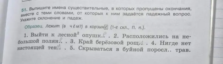 Выпиши имена существительные из предложений, в которых пропущены окончания, вместе с теми словами, от которых к ним задаётся падежный вопрос. Укажи склонение и падеж.