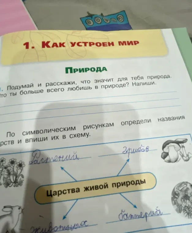 Определи названия царств живой природы по символическим рисункам и впиши их в схему