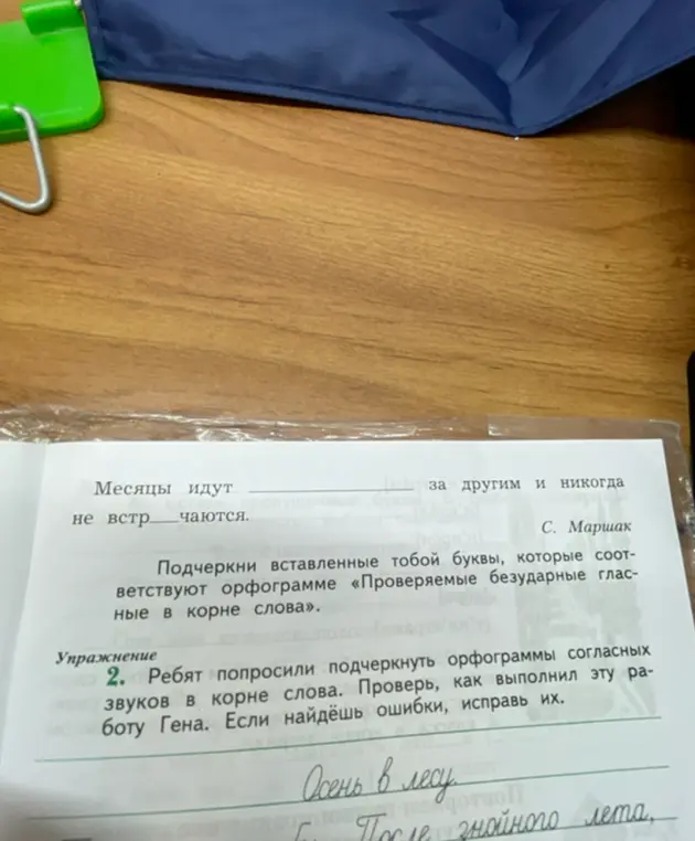 Проверь, как Гена выполнил работу: подчеркни орфограммы согласных звуков в корне слова. Если найдёшь ошибки, исправь их. (Осень в лесу. После гнойного лета)