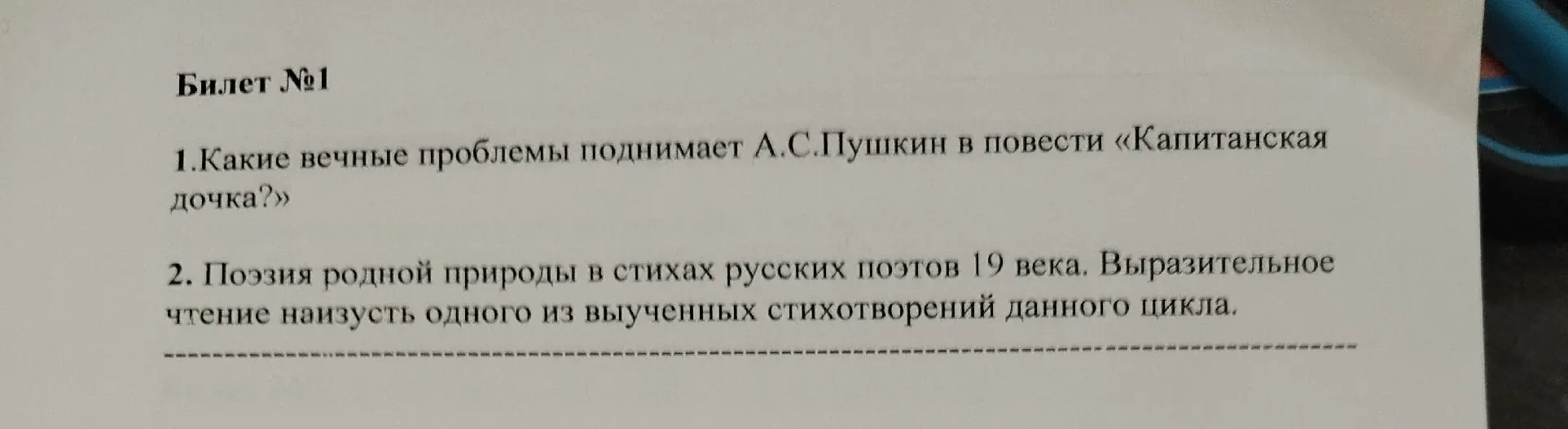 Какие вечные проблемы поднимает А.С. Пушкин в повести «Капитанская дочка»?