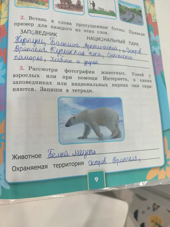 Узнай, в каких заповедниках или национальных парках охраняются животные на фотографиях