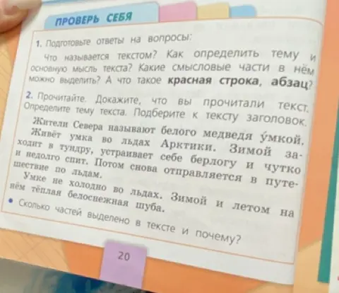 Подготовь ответы на вопросы: что называется текстом? Как определить тему и основную мысль текста?
