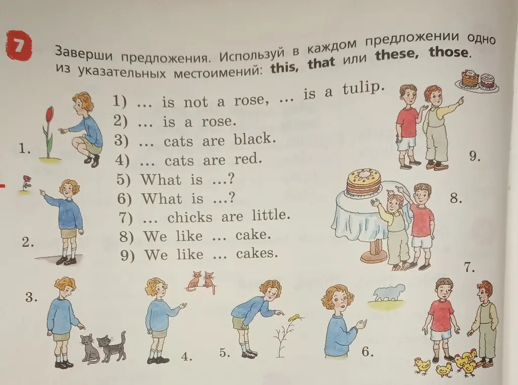 Помоги мне завершить предложения, используя указательные местоимения: this, that или these, those в предложении "... is not a rose, ... is a tulip"