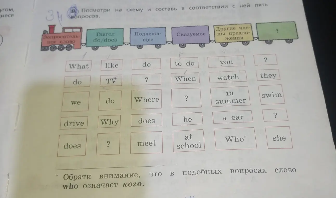 Составь пять вопросов по схеме