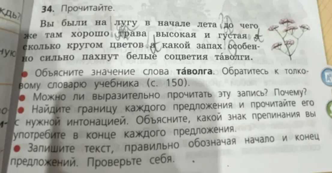 Объясни значение слова «таволга».