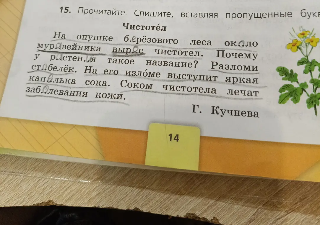 Ты просишь вставить пропущенные буквы в тексте про чистотел