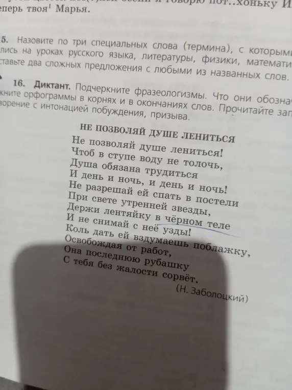 Подчеркни фразеологизмы в стихотворении "Не позволяй душе лениться". Что они обозначают? Отметь орфограммы в корнях и в окончаниях слов.