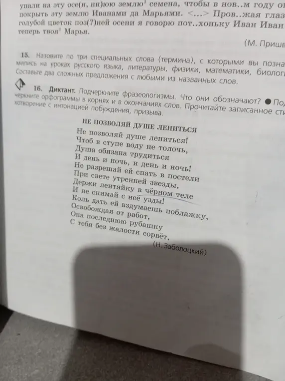 Подчеркни фразеологизмы и орфограммы в корнях и в окончаниях слов в стихотворении