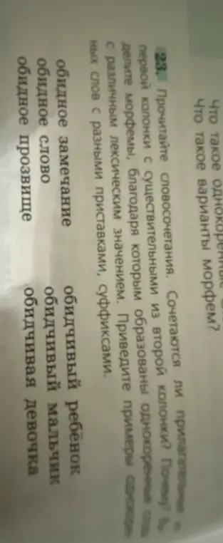 Объясни, сочетаются ли прилагательные первой колонки с существительными из второй колонки в упражнении 23.