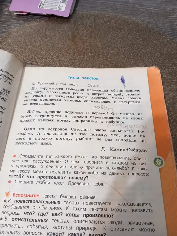 Определи тип каждого текста: это повествование, описание или рассуждение?