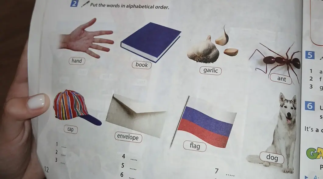 Помоги расставить слова по алфавиту: hand, book, garlic, ant, cap, envelope, flag, dog