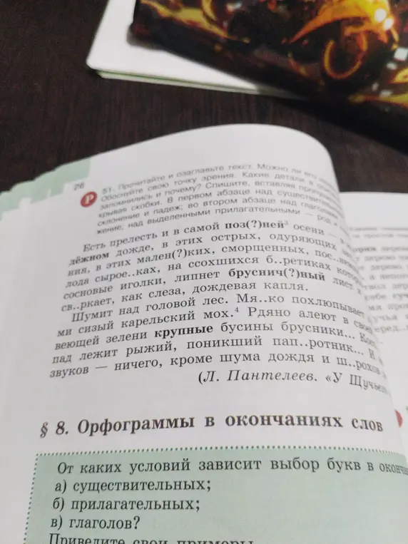 Объясни, от каких условий зависит выбор букв в окончаниях существительных, прилагательных и глаголов