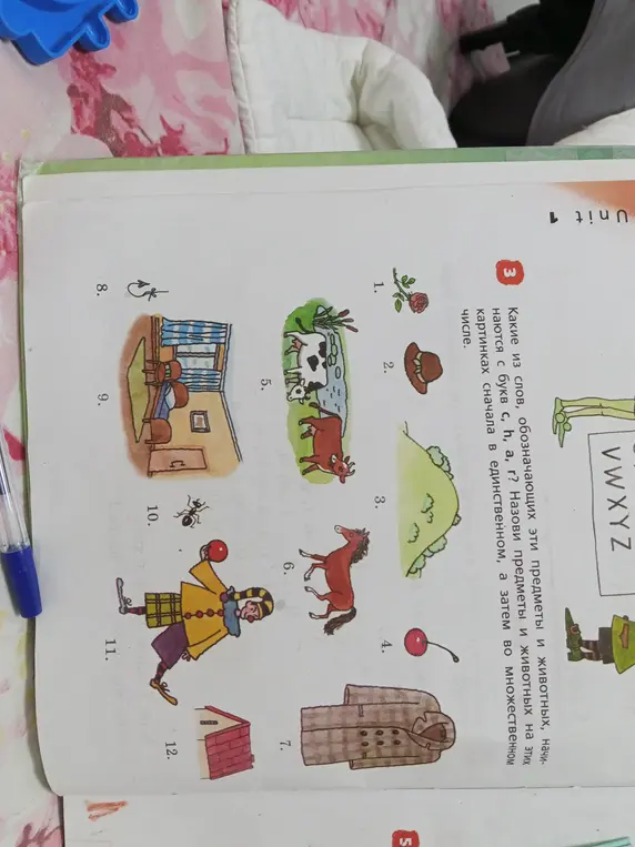 Какие из слов, обозначающих эти предметы и животных, начинаются с букв с, h, a, r?