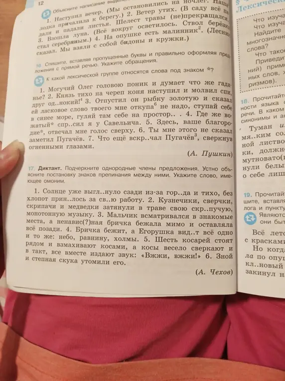 Ты можешь подчеркнуть однородные члены предложения в упражнении 17, объясняя постановку знаков препинания между ними и указывая слово, имеющее омоним?