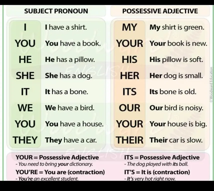 Объясни разницу между Subject Pronoun и Possessive Adjective в английском языке