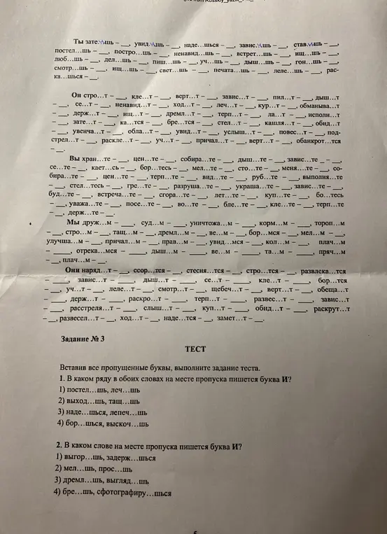 Вставь буквы в слова и напиши склонения