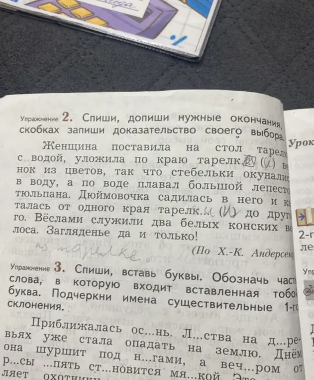 Выполни упражнение: спиши, допиши нужные окончания и вставь буквы.