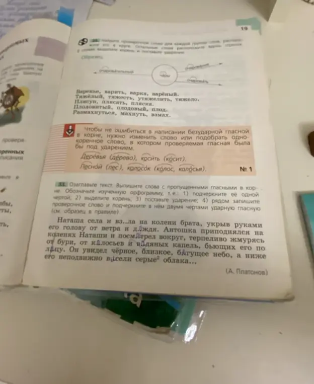 Объясни, как выполнить упражнение 33: озаглавить текст, выписать слова с пропущенными гласными в корне и обозначить орфограмму