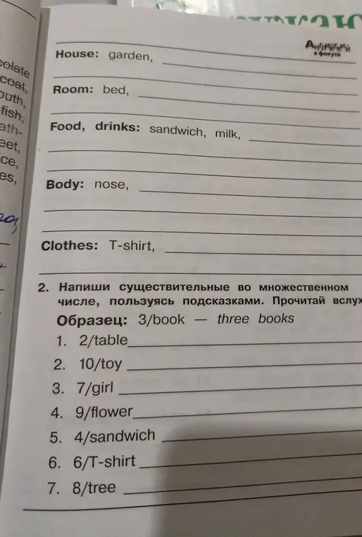 Помоги написать существительные во множественном числе, пользуясь подсказками в задании 2