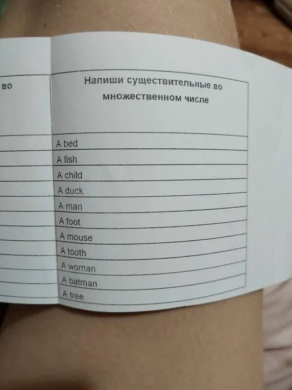 Напиши существительные во множественном числе: a bed