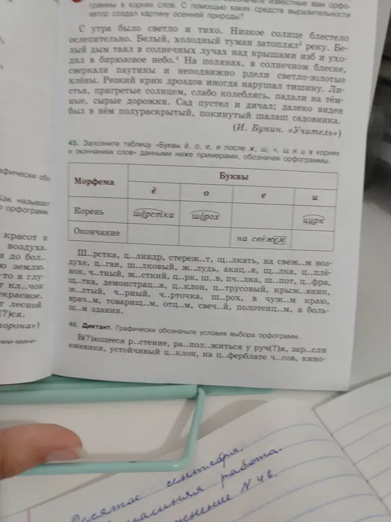 Заполни таблицу «Буквы ё, о, е, и после ж, ш, ч, щ и ц в корнях и окончаниях слов» данными ниже примерами, обозначая орфограммы. Вставь пропущенные буквы в словах.