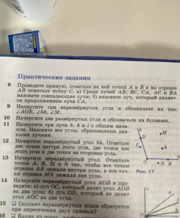 Выполни задания по геометрии: начерти прямую, отметь точки и лучи; начерти и обозначь разные углы