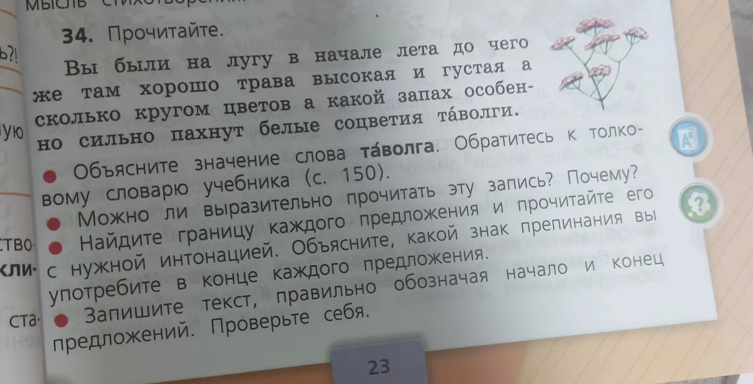Ты просишь меня расставить знаки препинания в тексте "Вы были на лугу в начале лета до чего же там хорошо трава высокая и густая а сколько кругом цветов а какой запах особенно сильно пахнут белые соцветия таволги"