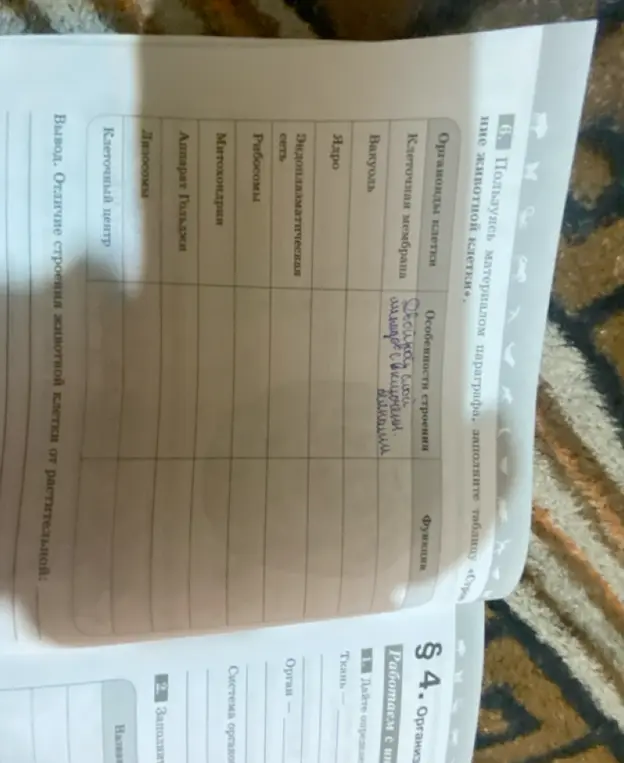 Заполни таблицу "Строение животной клетки".