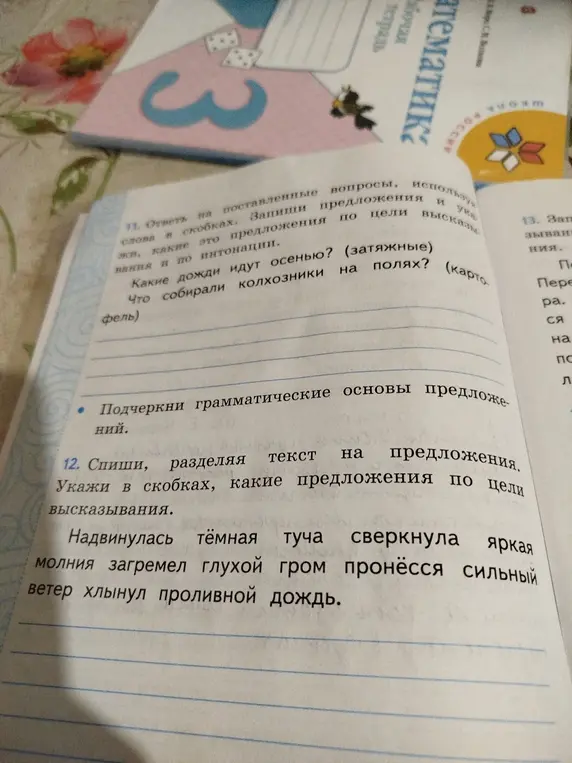 Раздели текст на предложения и укажи в скобках, какие предложения по цели высказывания