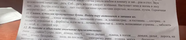 Помоги с русским языком: спиши, вставляя пропущенные буквы в словах 'Надёжные границ..., юные живописц..., маленькие станц...и' и вставь окончание прилагательных в словосочетаниях 'ранн утро, певч птицы, пахуч масло'.